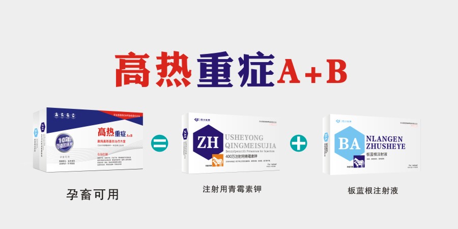 高熱重癥.jpg