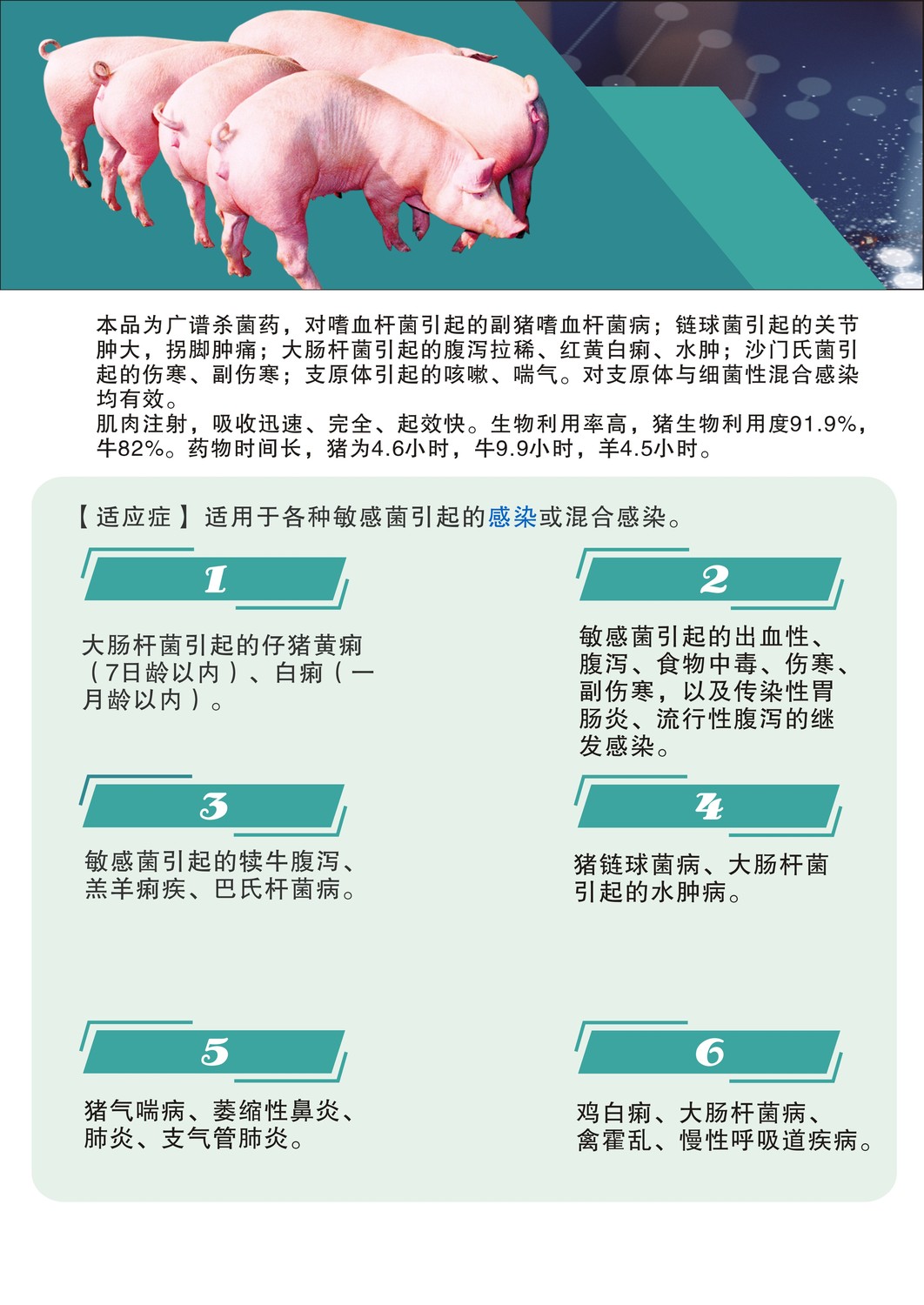 圖形2.jpg