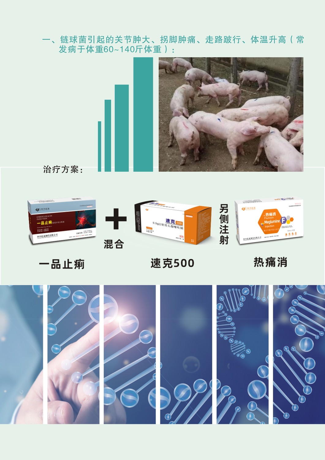 圖形3.jpg
