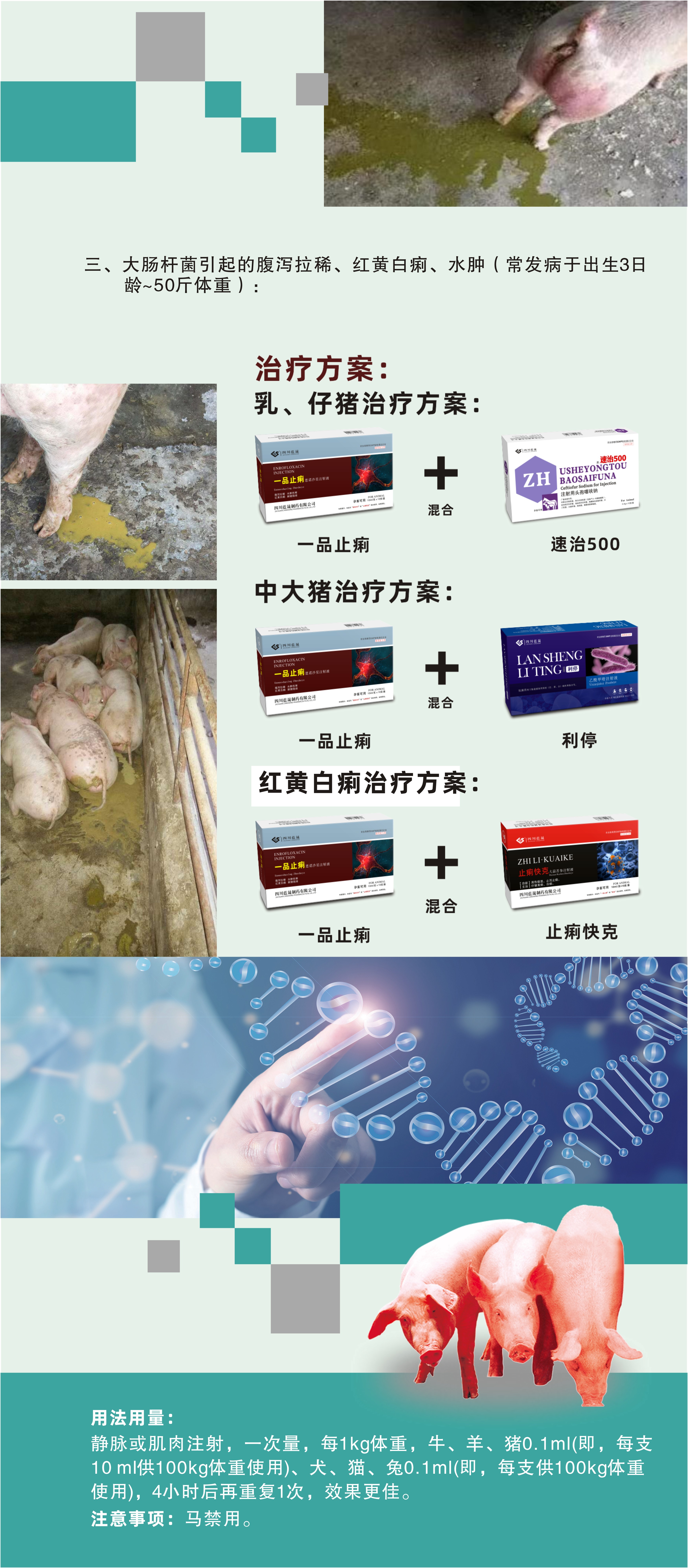 圖形5.jpg