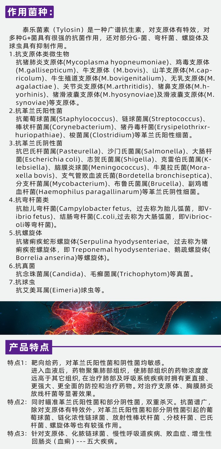 泰醫微推素材3.jpg