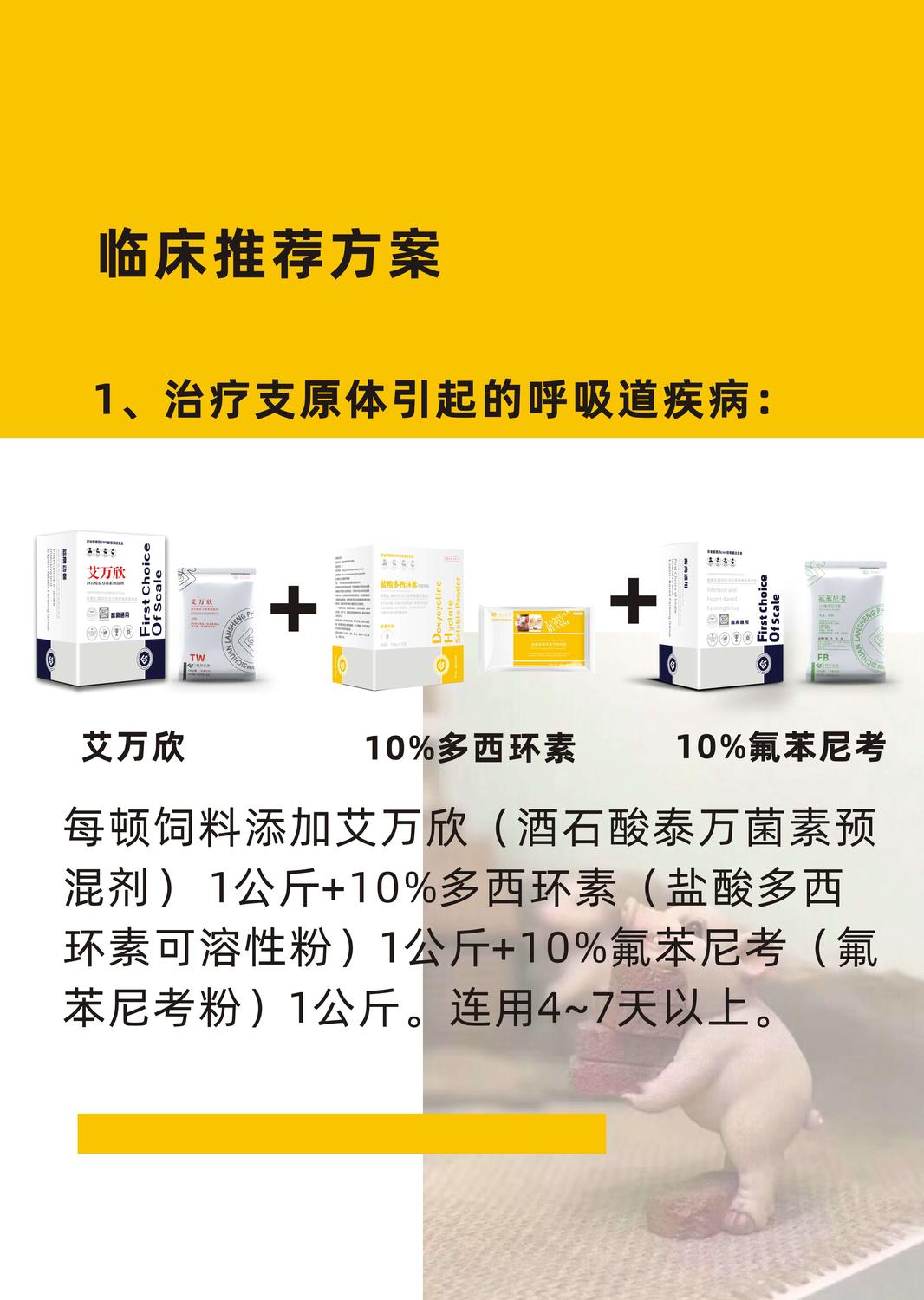 艾萬欣主圖5.jpg