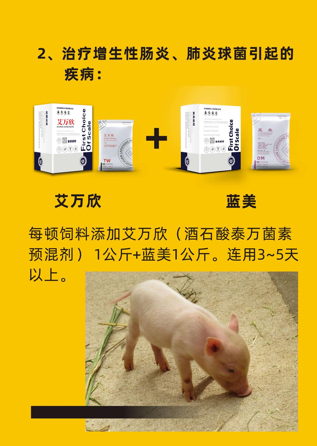 艾萬欣主圖6.jpg