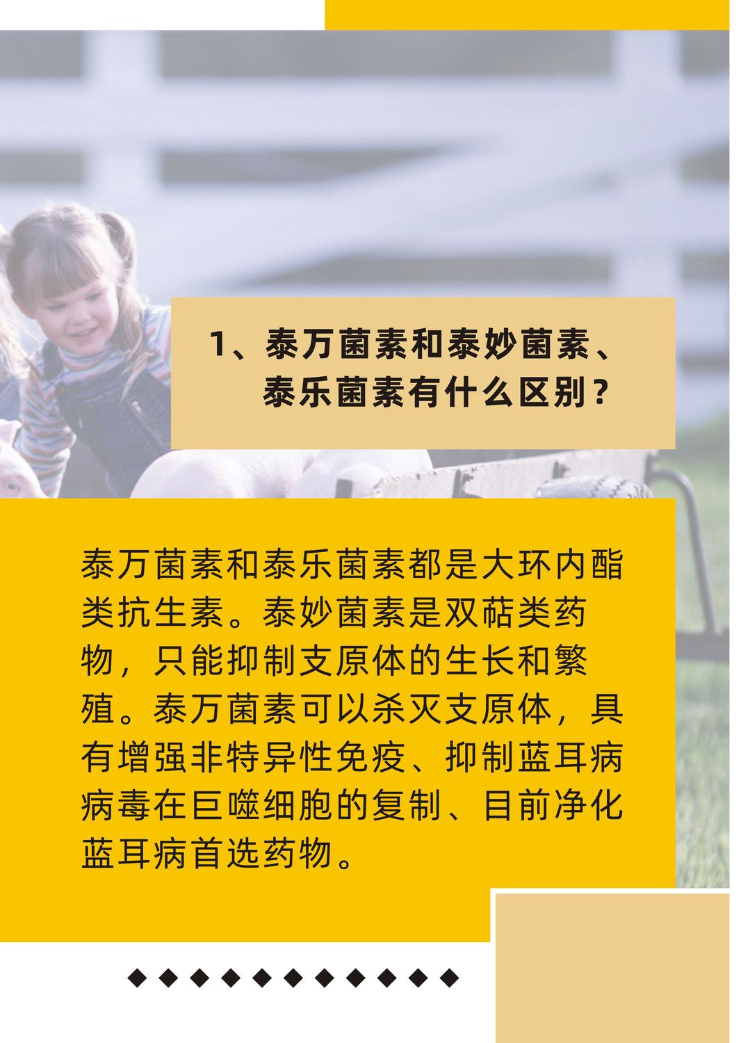 艾萬欣主圖2.jpg