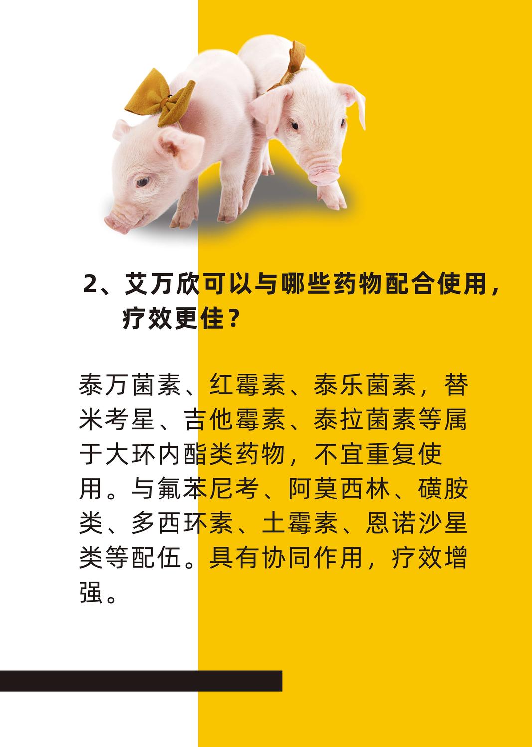 艾萬欣主圖3.jpg