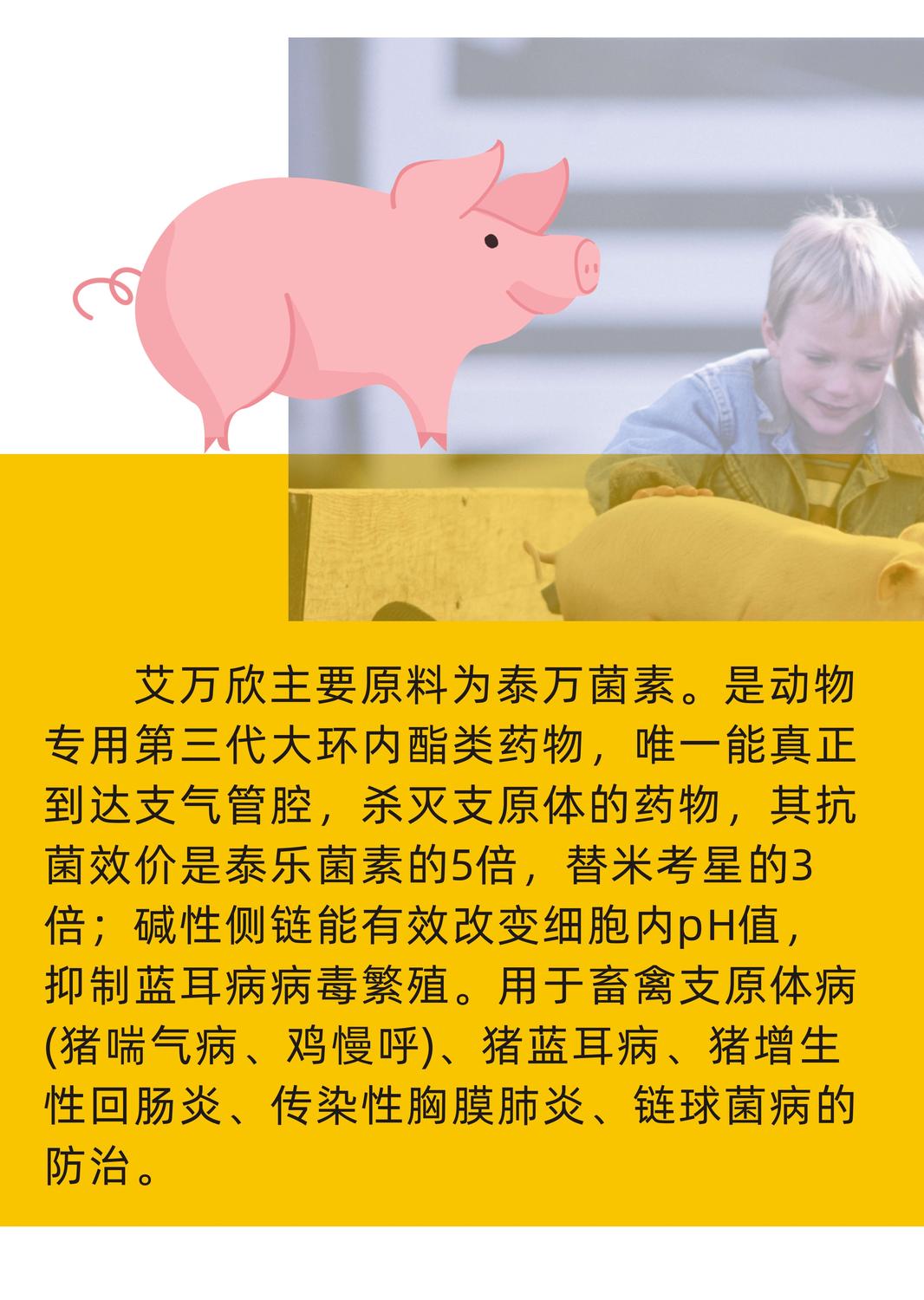 艾萬欣主圖1.jpg