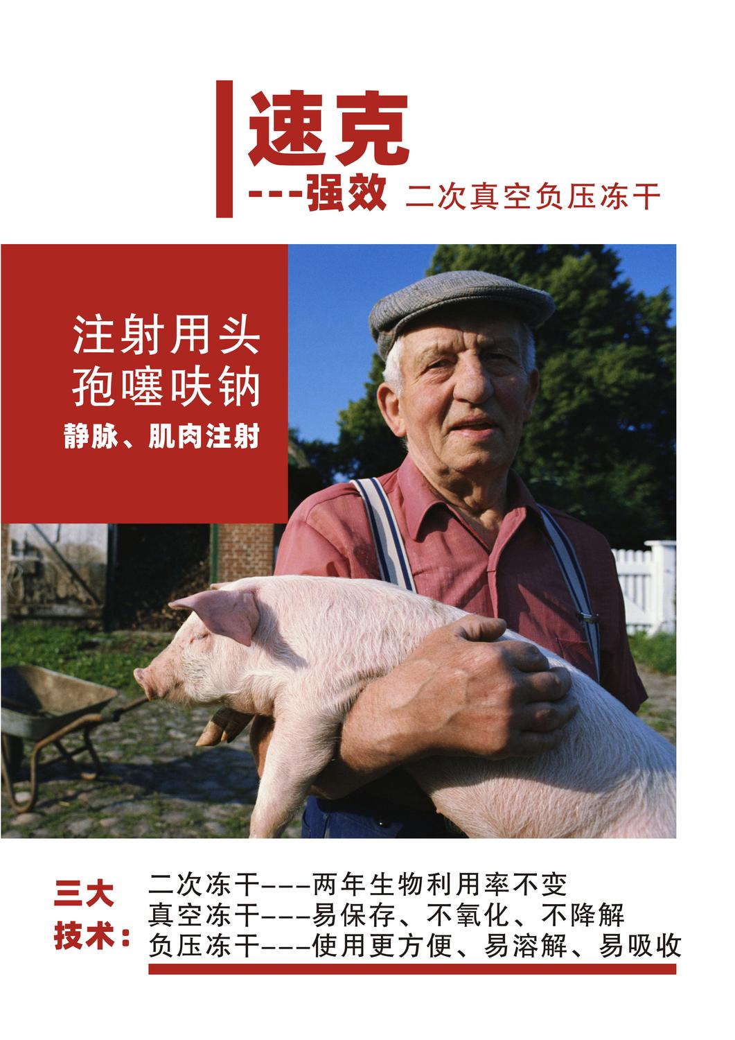 速克500-10001.jpg