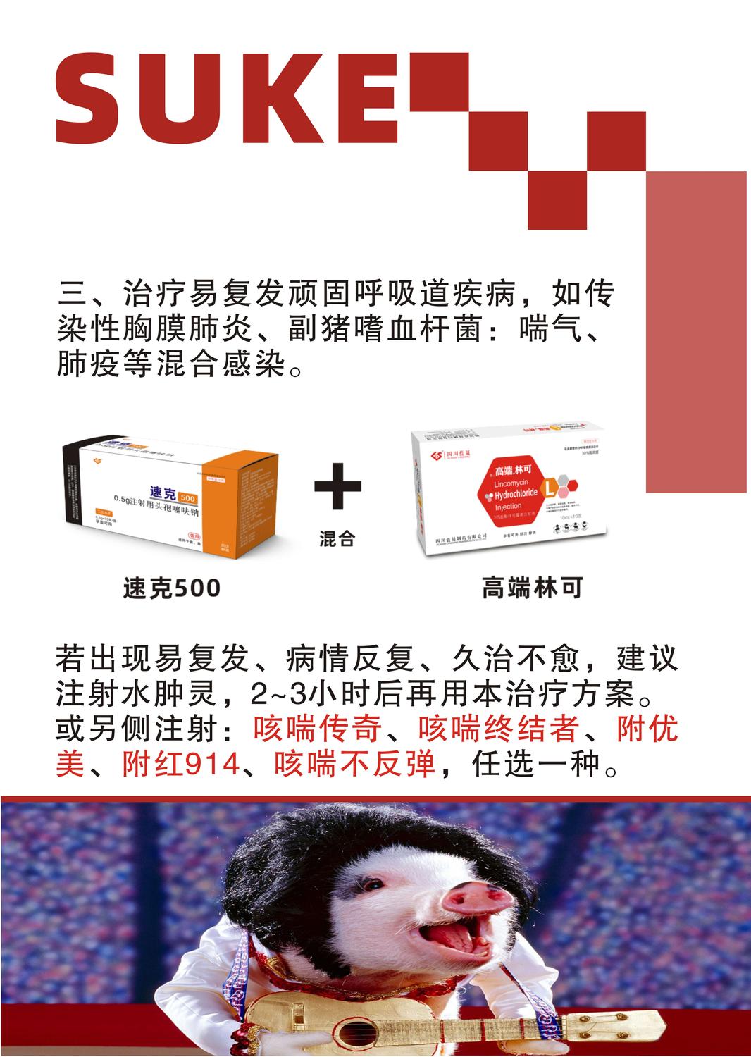 速克500-10005.jpg