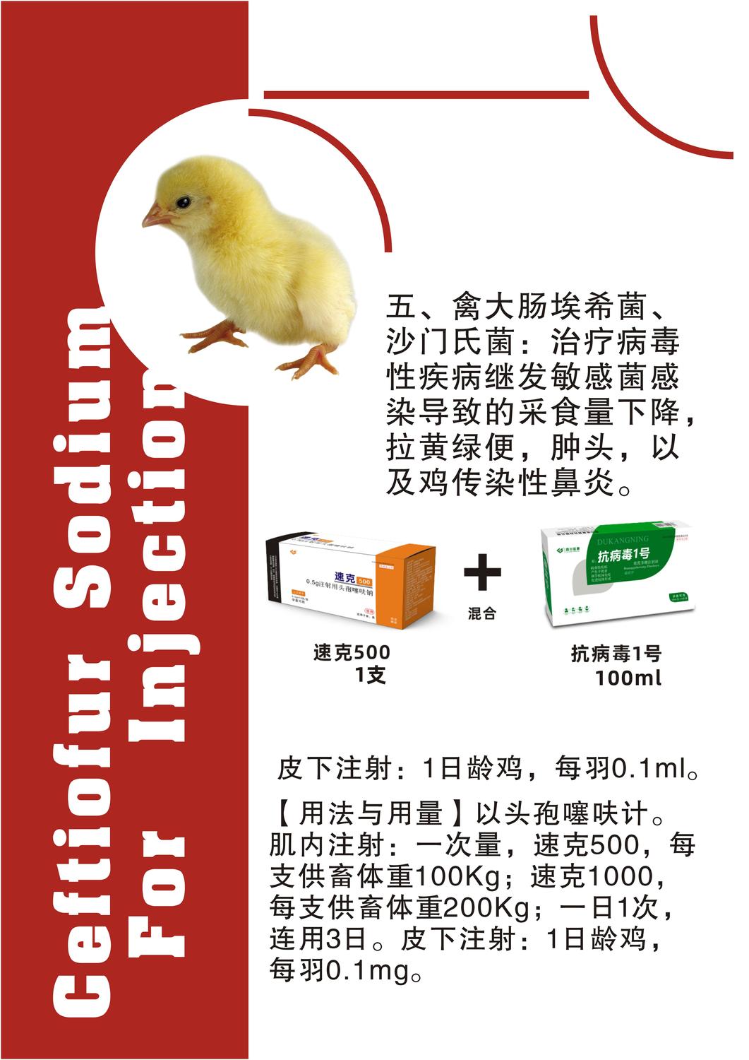 速克500-10007.jpg